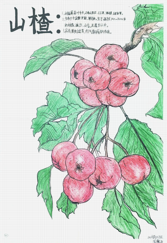 旋转 2a7c5f268eb42e5c52175f1142428d2.bmp